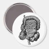 INTESTINS DIAGRAM VINTAG MAGNET (Vorderseite/Rückseite)