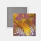 Intime Iris Magnet (Vorderseite/Rückseite)