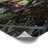 Into the Forest for Orangutan School Poster (Ecke)