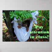 Into the Forest for Orangutan School Poster (Vorne)