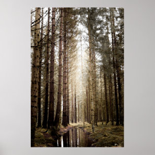 INTO THE FOREST POSTER