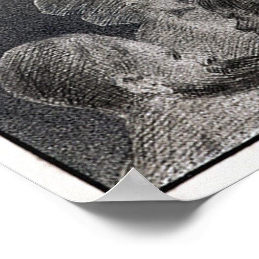 Into the Unknown 1901 Poster (Ecke)