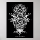 INTRAKiZI-Poster Poster (Vorne)