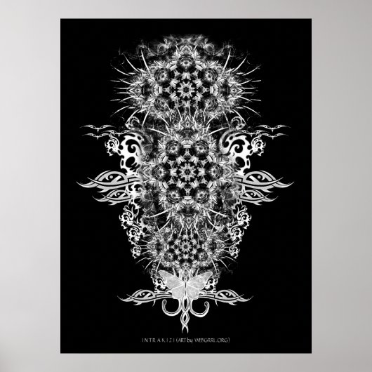 INTRAKiZI-Poster Poster (Vorne)