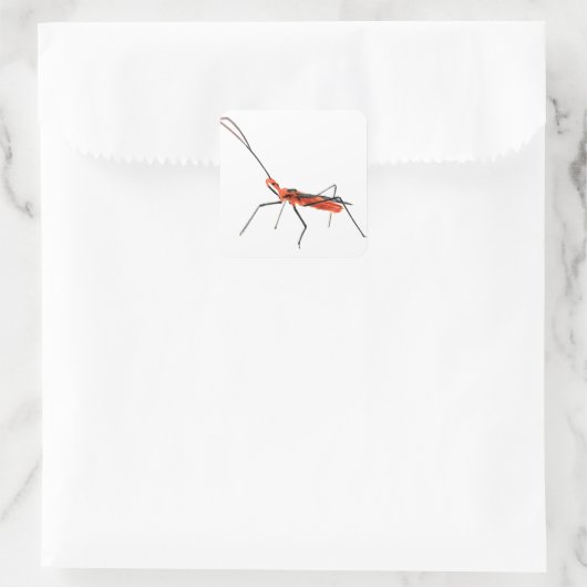 Intricate Assassin Bug Sticker (Tasche)