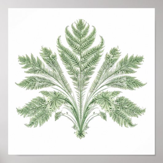 Intricate Botanical Symmetry: Fractal Flora Poster (Vorne)