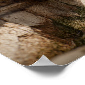 Intricate Details der antiken römischen Brunnen Sk Poster (Ecke)