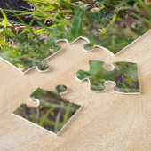 Intrigued Iguana Puzzle (Seite)