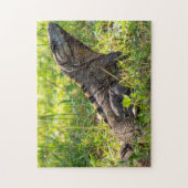 Intrigued Iguana Puzzle (Vertikal)