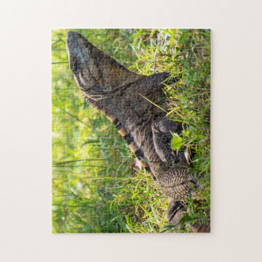 Intrigued Iguana Puzzle (Vertikal)