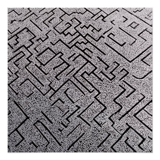 Intrilates Schwarz-Weiß-Labyrinth-Labyrinth Poster (Vorderseite)