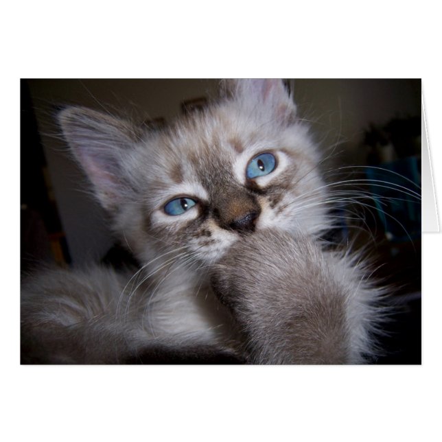 Introspektiver Denker (Vorderseite (Horizontal))