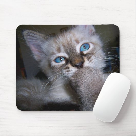 Introspektiver Denker-mit blauen Augen Kätzchen Mousepad (Mit Mouse)