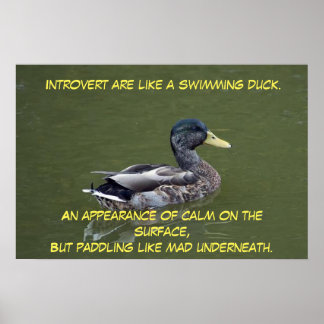 Introvert Duck Poster