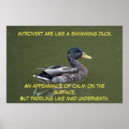Introvert Duck Poster (Vorne)
