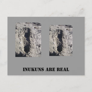 inukun Füße, inukun Füße, INUKUNS SIND WIRKLICH Postkarte