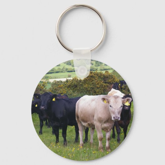 Invasion Schlüsselanhänger (Vorderseite)