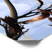 invasive perrenale japanische Knotweed-Pflanze Poster (Ecke)