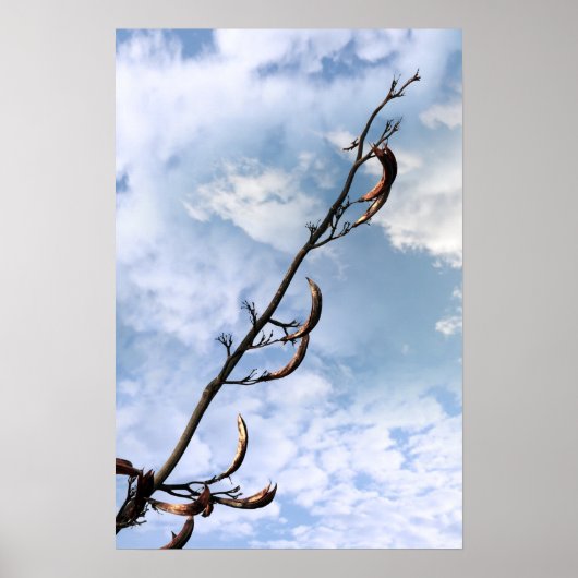 invasive perrenale japanische Knotweed-Pflanze Poster (Vorne)