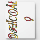 Invertierte "OFFIZIELLE" Symbolkunst Fotoplatte (Vorderseite)