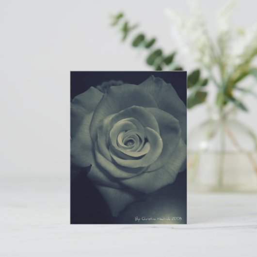 invertierte Rose Postkarte (Stehend Vorderseite)