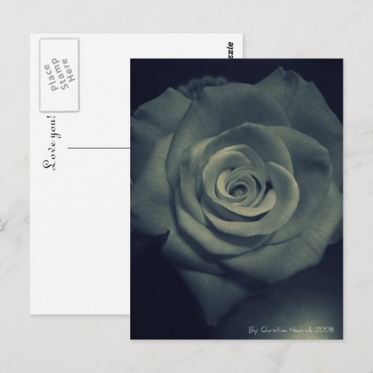 invertierte Rose Postkarte (Vorne/Hinten)