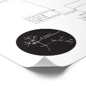 Inverts: Den Tierbaum des Lebens erkunden Poster (Ecke)