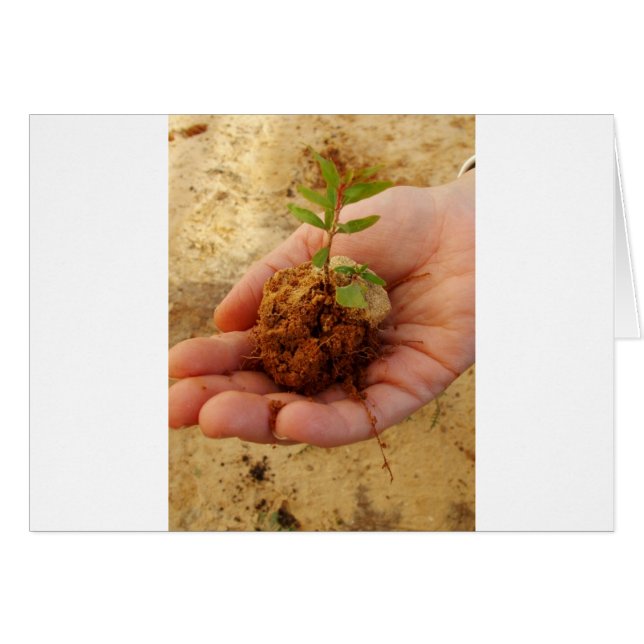 Investitionen in Wachstum (Vorderseite (Horizontal))