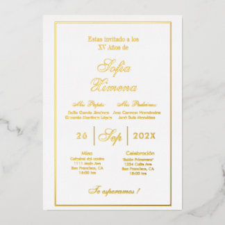 Invitación de quinceñera elegante folieneinladung