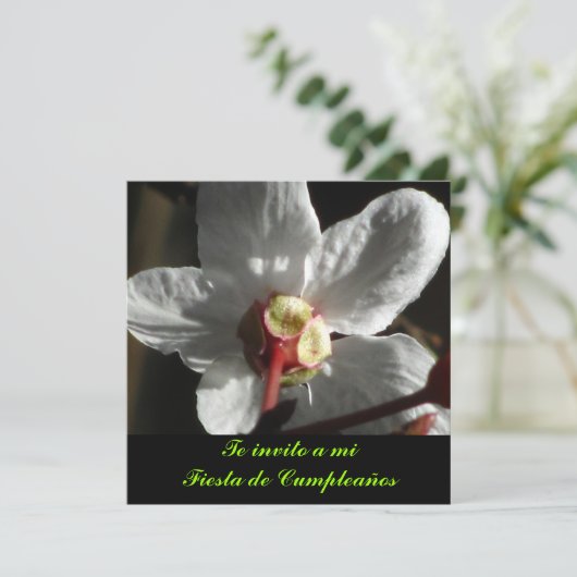 Invitación - Die Einladung an einen Kilometer Fies (Stehend Vorderseite)