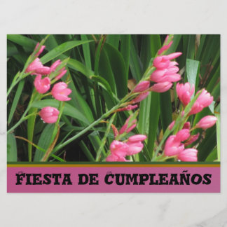 Invitación - Fiesta de Cumpleaños Einladung