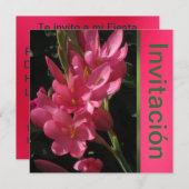 Invitación - Fiesta de Cumpleaños - Rosa Einladung (Vorne/Hinten)