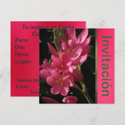 Invitación - Fiesta de Cumpleaños - Rosa Einladung (Vorne/Hinten)