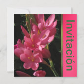 Invitación - Fiesta de Cumpleaños - Rosa Einladung (Vorderseite)