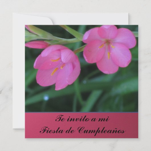 Invitación - Te invito ein MI Fiesta de Cumpleaños Einladung (Vorderseite)