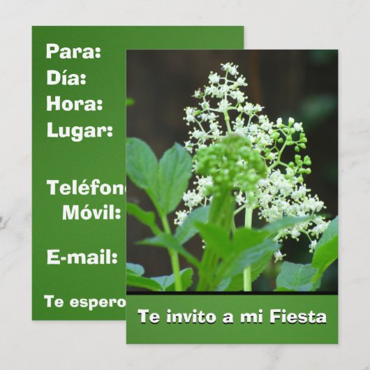 Invitación - Te invito eine MI-Fiesta - Flores Einladung (Vorne/Hinten)