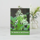 Invitación - Te invito eine MI-Fiesta - Flores Einladung (Stehend Vorderseite)