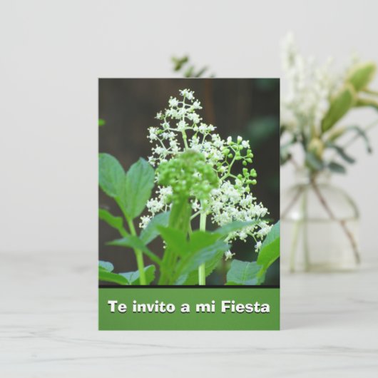 Invitación - Te invito eine MI-Fiesta - Flores Einladung (Stehend Vorderseite)
