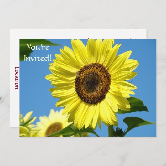 INVITATIONEN Sonnenblumen Sie sind eingeladen Mutt Einladung (Vorne/Hinten)