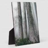 Invokation des Waldes Fotoplatte (Seite)