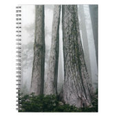 Invokation des Waldes Notizblock (Vorderseite)