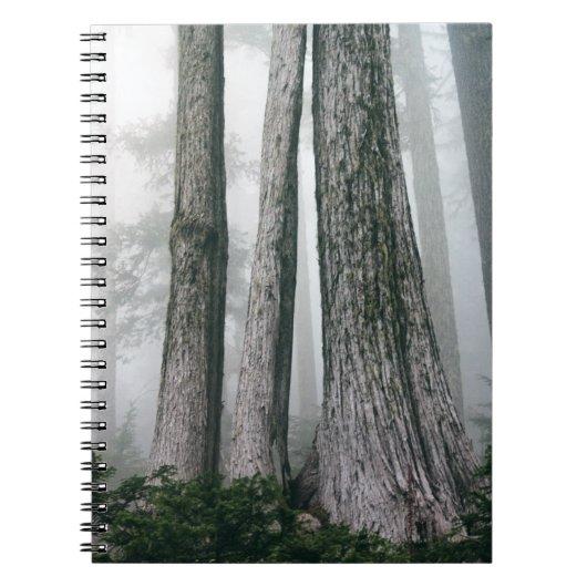 Invokation des Waldes Notizblock (Vorderseite)