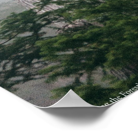 Invokation des Waldes Poster (Ecke)