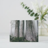 Invokation des Waldes Postkarte (Stehend Vorderseite)