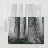 Invokation des Waldes Postkarte (Vorne/Hinten)
