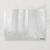 Invokation des Waldes Postkarte (Rückseite)