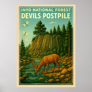 Inyo National Forest - Devils Postpile V01 Poster