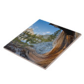 Inyo National Forest, Kalifornien Fliese (Seite)