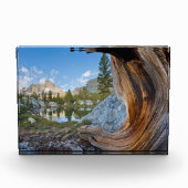 Inyo National Forest, Kalifornien Fotoblock (Vorderseite)