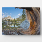 Inyo National Forest, Kalifornien Fotoplatte (Vorderseite)